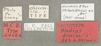 Media type: image;   Entomology 24064 Aspect: labels